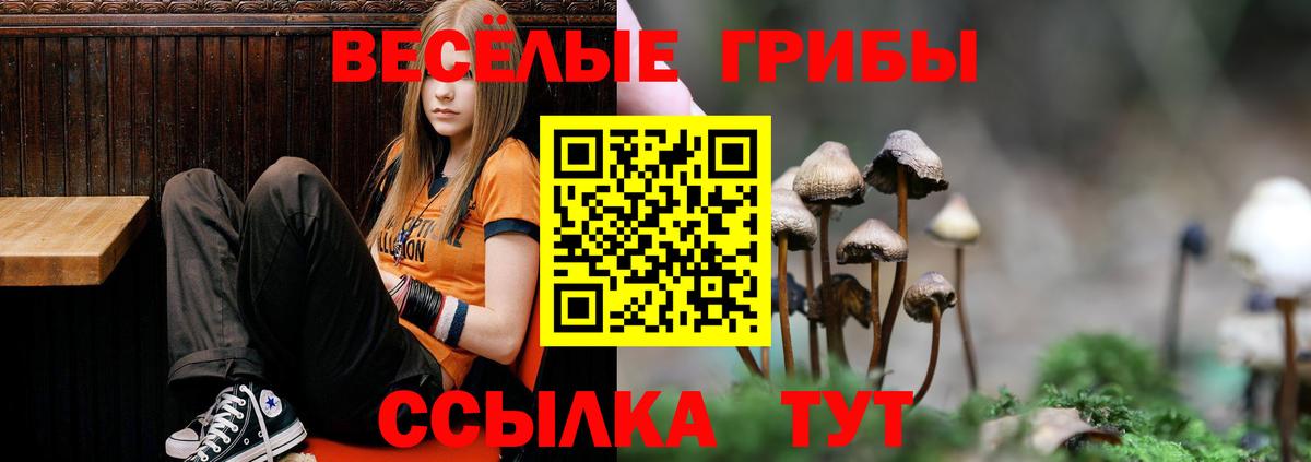 Псилоцибиновые грибы ЛСД Гудермес