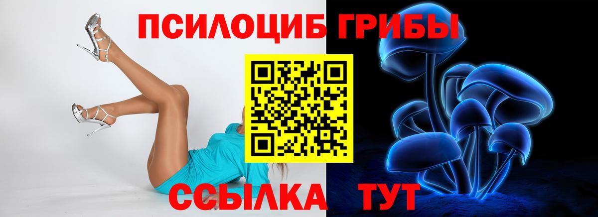 Псилоцибиновые грибы ЛСД  Галлюциногенные грибы ЛСД  Вход с VPN  Гудермес 